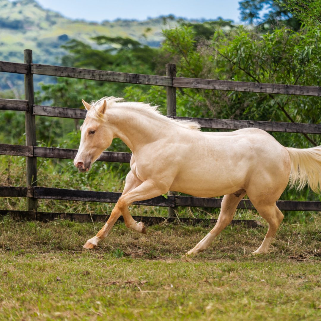 Juan D Ranch Jul 2025-28